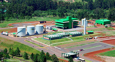 Início da Produção de biodiesel